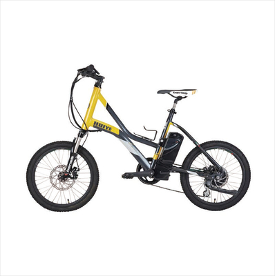 Batterie amovible de bicyclette électrique de la batterie 24V 2600Mah d'arme à feu d'OEM Fascial
